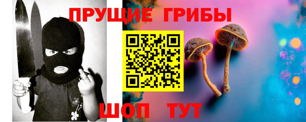 Можайск  Галлюциногенные грибы Psilocybe  Галлюциногенные грибы Psilocybe  Вход с VPN 