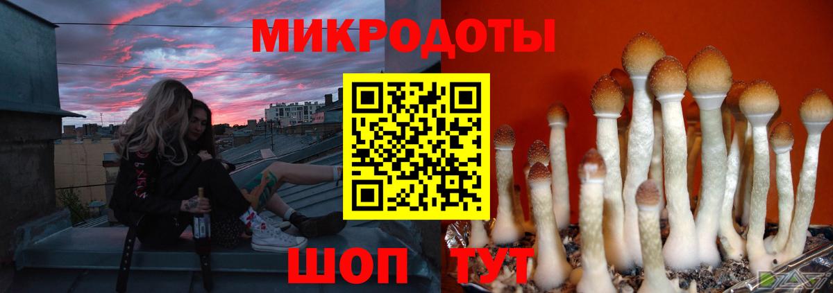 Псилоцибиновые грибы Magic Shrooms Можайск